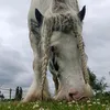 isa.rafjfb81
