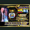 dianyvs