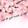 user5974607635752