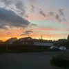 golddenbloom