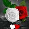 elisabet8059468112379