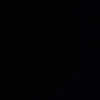 530._adam