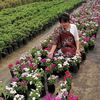 phyu.phyu3325