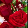 user5185813868005