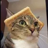 phuocthinh3.3