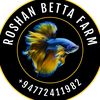 roshanbetta
