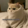 kap_doshik9283