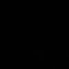 rr_199o