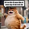 meow yêu đời