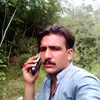jan_sher8