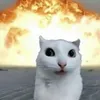 yeucuaiemoi