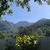 xxvicolachipsxx