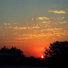 nis_sam29
