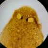 hellotoallmybitchxs