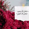 user712440472080