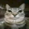 haganleemote