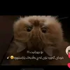 ئیسلام🕋