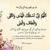 aliraja4557