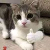 1thangngu44