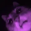 joshua_tt