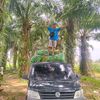 albetus_suwardi