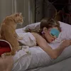 whostfjulia
