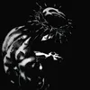 _draux_
