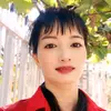 hong_loan_