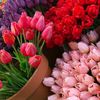 user09husseinseid