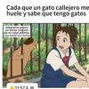 sara1000089