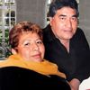 bachosolis