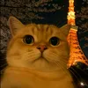 vanson_2707