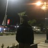 _dimas521