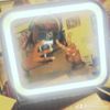 therego_nya