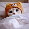 babby_yaraaurora