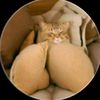 nikinakmeletup