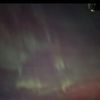 petla_19078