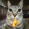 hlongzzz11