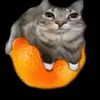 toasterthomas