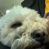 george_230111