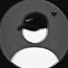 kiwi_pes1