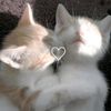saida_2.14