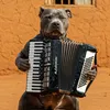 russo.pitmonster