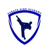karate.kids.academy