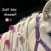 abe_bak