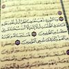 m.ohammed26