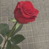 mrsfaraz20