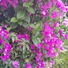 tatiana_91978