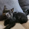 oliwierhania