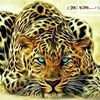 user3088799870706